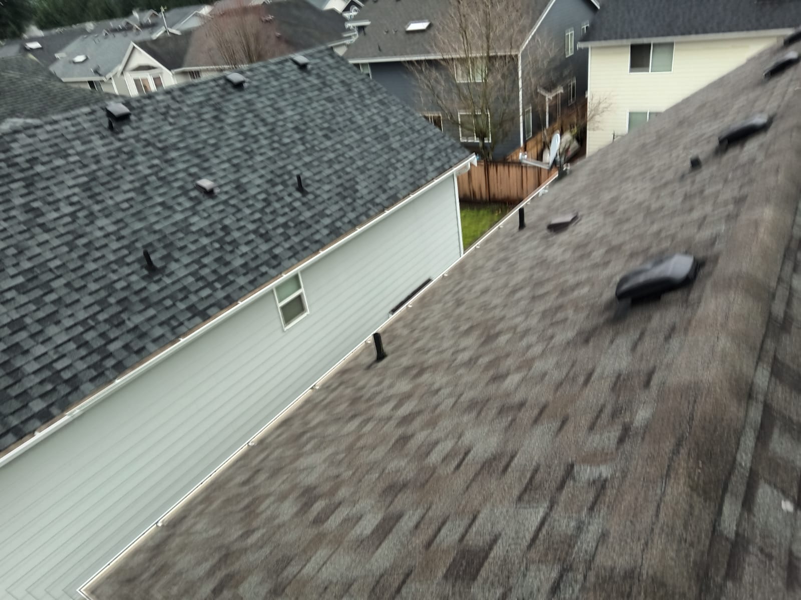 IMG-20230205-WA0028(1)