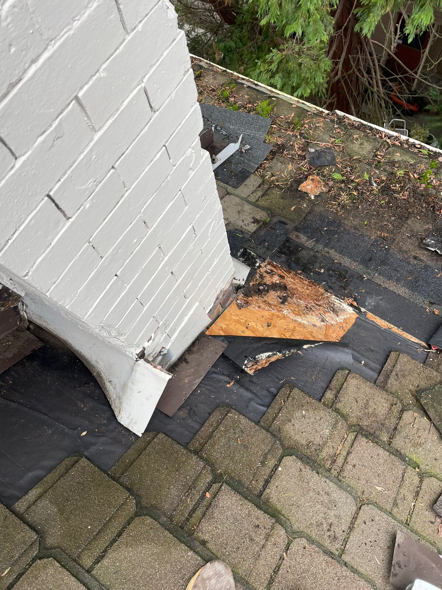 IMG-20230208-WA0055(1)